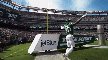nyjets sports football sport nfl GIF