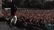 pitchfork music festival GIF by Pitchfork