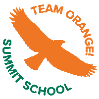 summitschoolws team orange summitschoolws summit school summit team orange Sticker