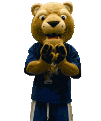 Florida International University Rainbow Sticker by FIU