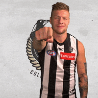collingwoodfc pies collingwood magpies collingwoodfc GIF