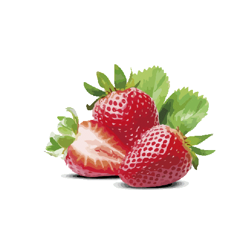 icecream naturaleza Sticker