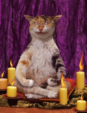 asudeasar giphyupload GIF