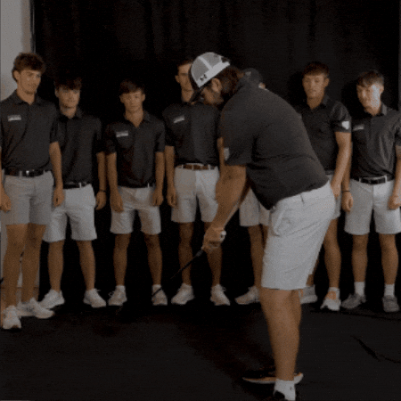 Fort Wayne Golf GIF by Purdue Fort Wayne Athletics