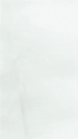 Plushie Carebears GIF by Youtooz