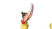 Volleyball Sticker by Draisma Dynamo