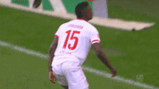1 fc cologne football GIF by 1. FC Köln