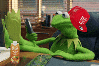 Kermit No GIF by BioSteel Sports