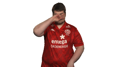 1 Fsv Mainz 05 Dancing Sticker by Bundesliga