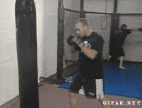 face punch GIF
