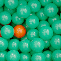 Cybermonday GIF by Yoast