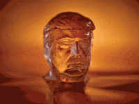 GIF by joerocco