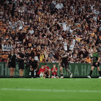 Penrith Panthers Nrl GIF