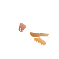 Paint Cricket Sticker by Protek