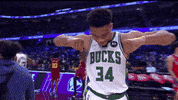 Giannis Antetokounmpo Sport GIF by NBA