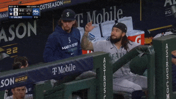 Baseball Playoffs GIF by MLB