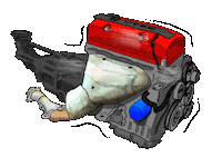 Honda Motor Sticker