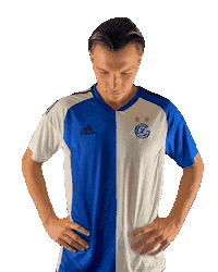 Club Zurich Sticker by GCZ