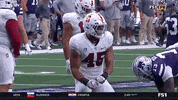 gostanford  GIF