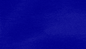 Card GIF by Jeopardy!