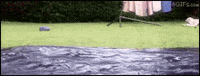 Checking In How Are You GIF