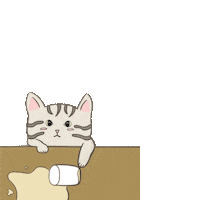 qbithecat cat oops mess ohno Sticker