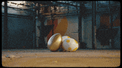 Video Game GIF by Fall Guys
