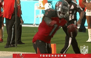 Tampa Bay Buccaneers Football GIF by NFL