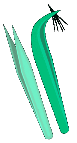 emeraldlashes giphyupload training lashes extensions Sticker