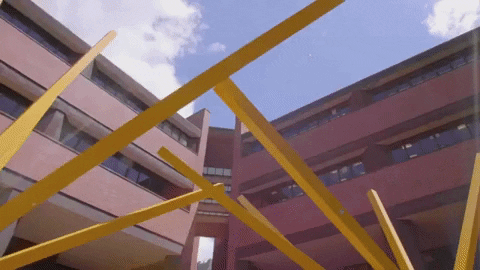 French Fries College GIF by University of Florida
