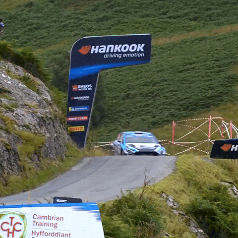 Erc GIF by FIA European Rally Championship