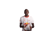 Red Bull Rbl Sticker by RB Leipzig