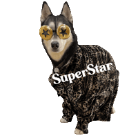 Unimpressedhusky Sticker