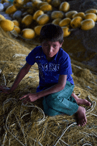 elojodenestor gifart gif photography gifphotography fotografia liquida GIF