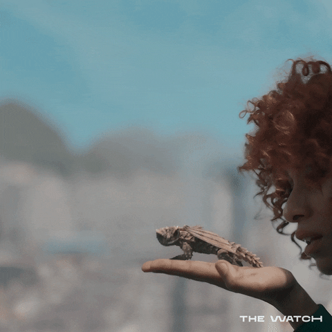 Bbc America Goodbye GIF by The Watch