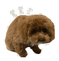 pinkpink53520 happy dog hi puppy Sticker