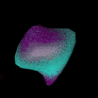 gifys GIF by The .GIFYS