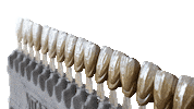 White Teeth Shade Guide Sticker by Enlighten Smiles