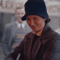 allcreaturestv animals gun shooting bang GIF