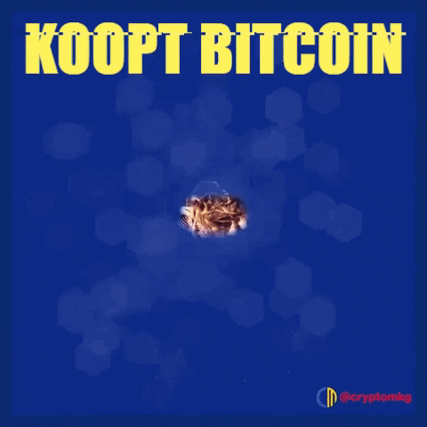Bitcoin GIF by Crypto Marketing