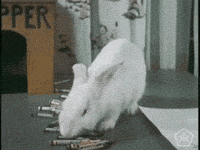 open knowledge art GIF by Okkult Motion Pictures