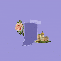 United States Trump GIF by Crooked Media