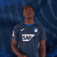 Sport Bundesliga GIF by TSG Hoffenheim