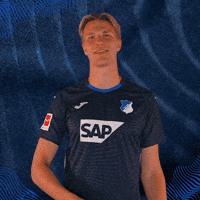 Sport Bundesliga GIF by TSG Hoffenheim