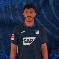 Sport Bundesliga GIF by TSG Hoffenheim