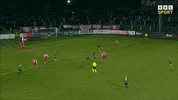 Celebration GIF by Cliftonville Football Club