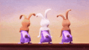 Bunnies GIF