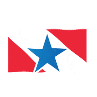 Estado Do Para Sticker by SECOMPA