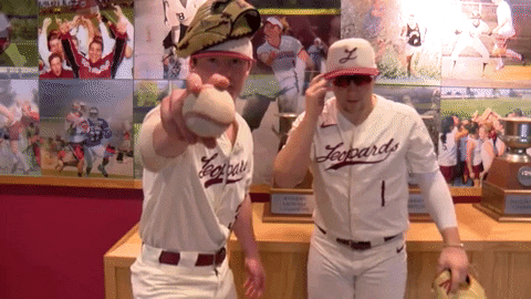 Baseball Johnson GIF by Lafayette Leopards