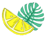 Summer Leaf Sticker by Moli Fernyx